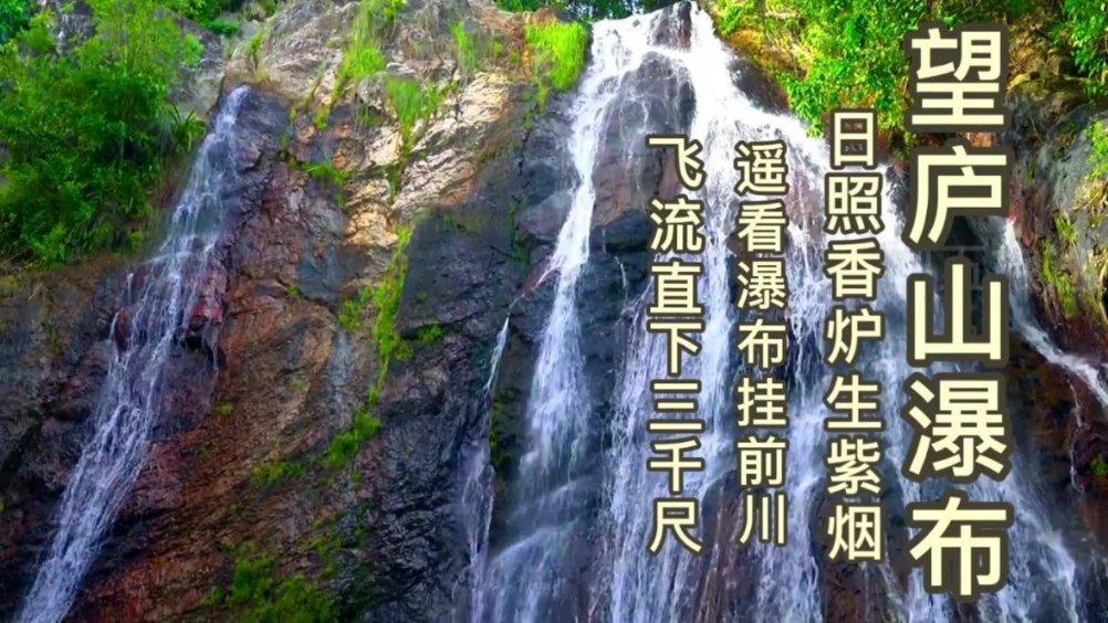 大安区回龙镇镇政府离双柏村小学校有多少公里?